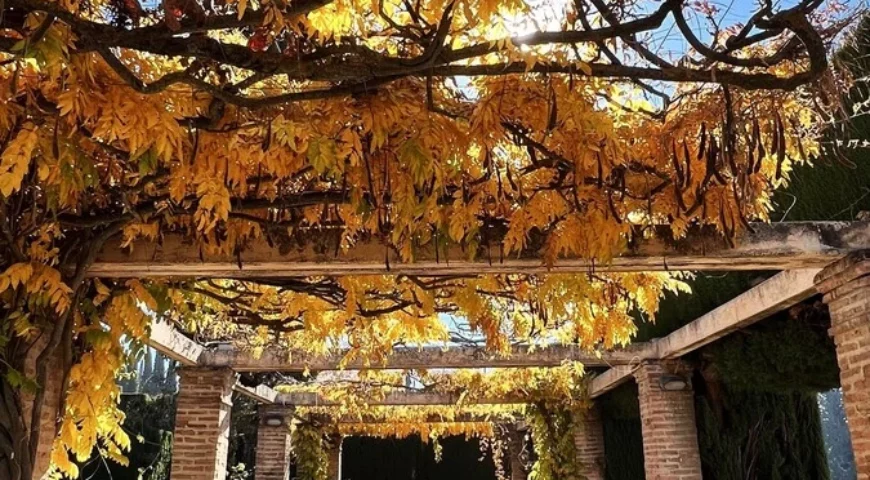 alhambra-en-otoño